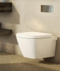 Caroma Cube Invisi Series II Wall Hung Toilet Suite